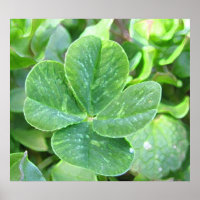 vierblättriges Kleeblatt