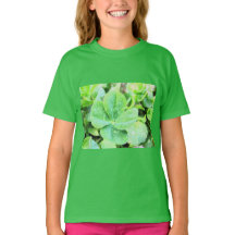 vierblättriges Kleeblatt