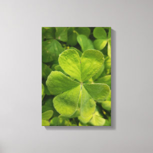 Vierblättriges Kleeblatt Wand-Kunst-Foto-Leinwand Leinwanddruck