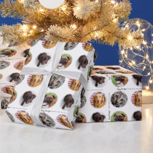 Vierer Foto-Päppchen-Papiere für Lover Pawliday Geschenkpapier