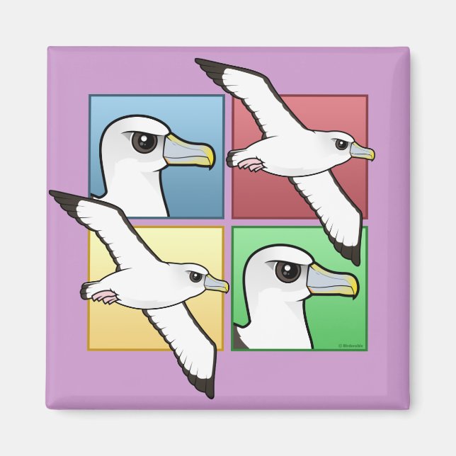 Vierfarbige Albatross Magnet (Vorne)