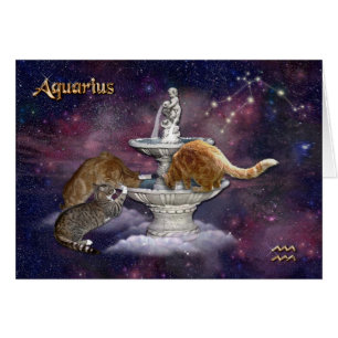 Vierge pour Amoureux de les chats