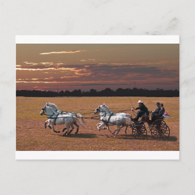 vierseitig postkarte (Vorderseite)