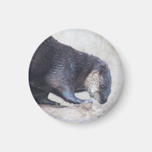 Viertelschläger Magnet