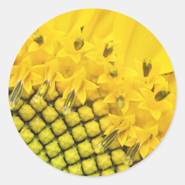 Viertelsonne Runder Aufkleber (Vorderseite)