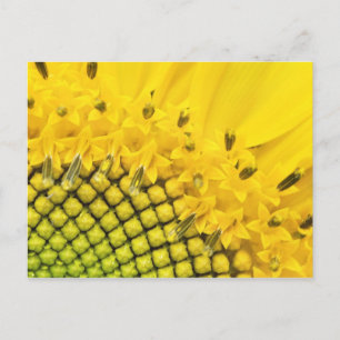 Viertersonne Postkarte