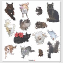 Vierzehn Niedliche Hunde und Katzen Foto Aufkleber