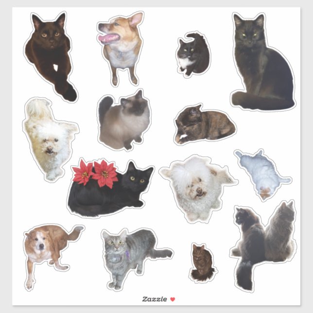 Vierzehn Niedliche Hunde und Katzen Foto Aufkleber (Blatt)