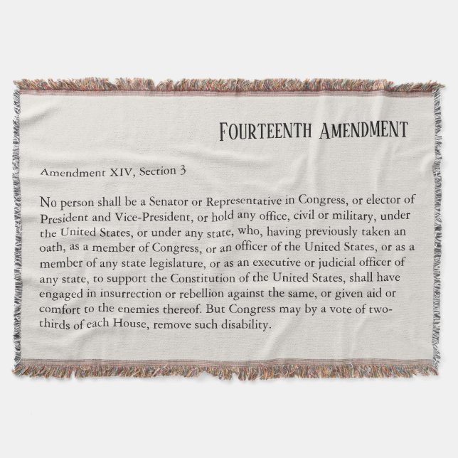 Vierzehnter Änderungsantrag Abschnitt 3 Decke (Vorderseite)