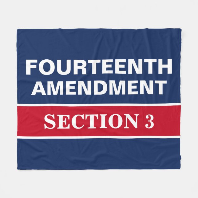 Vierzehnter Änderungsantrag Abschnitt 3 Verfassung Fleecedecke (Vorderseite (Horizontal))