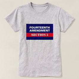 Vierzehnter Änderungsantrag Abschnitt 3 Verfassung T-Shirt