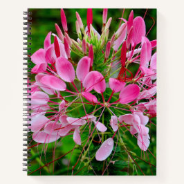 Vietnam - Flower on Ha Giang Plateau Notizbuch
