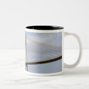Vietnam, Ho-Chi-Minh-Stadt, auch Saigon genannt). Zweifarbige Tasse