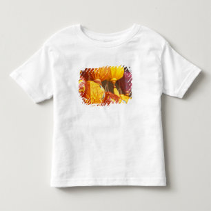 Vietnam, Hoi An Große Laternen, Souvenirs Kleinkind T-shirt