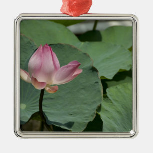 Vietnam, nahe Saigon) My Tho. Vinh Trang 2 Silbernes Ornament