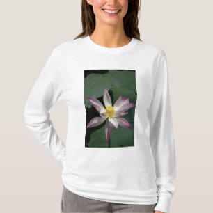 Vietnam, nahe Saigon) My Tho. Vinh Trang T-Shirt