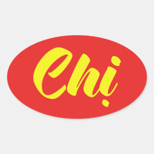 Vietnamesisch Sister - Chmi ~ TietNetVivimont Lang Ovaler Aufkleber