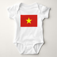 vietnamesische Flagge (Vietnam)