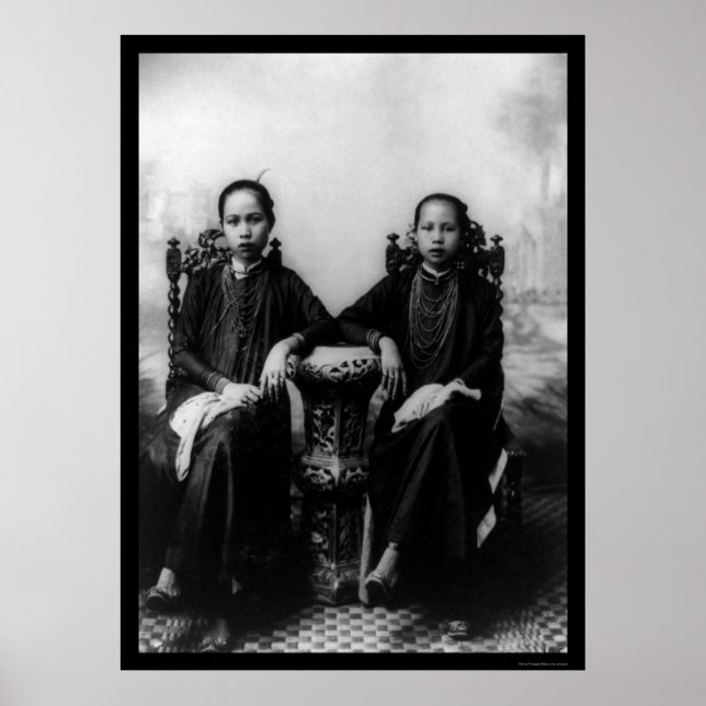 Vietnamesische Mädchen 1903 Poster (Vorne)