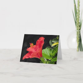 Vietnamesischer Hibiskus Jeden Anlaß Notecard Dankeskarte