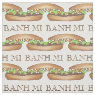 Vietnamesischer Schweinefleisch Banh Mi Sandwich F Stoff