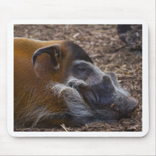 Vietnamesisches Schwein Mousepad