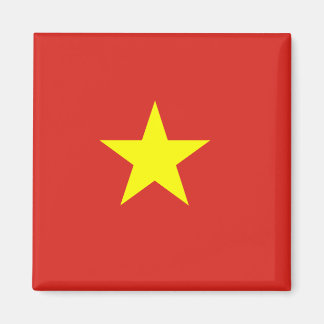 Vietnamflagge Magnet