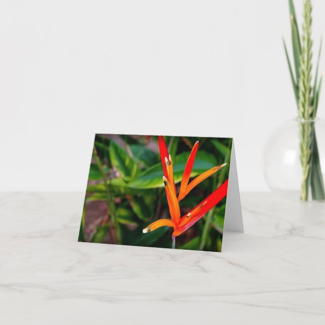 Vietnamien Heliconia Tous les Cartes pour notes d' (Devant)