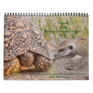Vieux amis, nouveaux amis - calendrier 2011 de