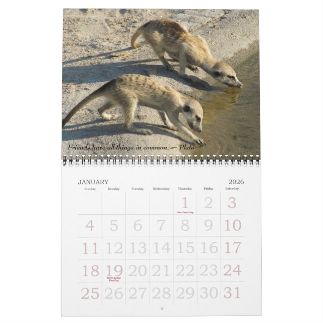Vieux amis, nouveaux amis - calendrier 2011 de (Jan 2026)