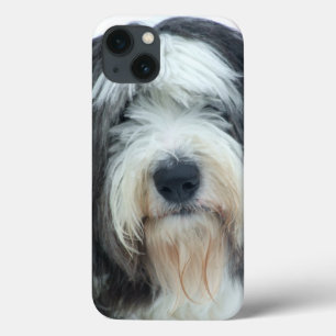 Vieux anglais Sheepdog iPhone 6 Coque