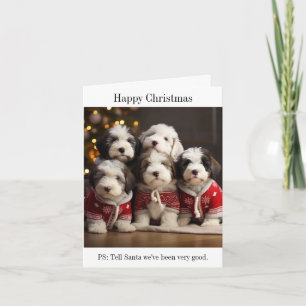 Vieux anglais Sheepdog Puppies Carte de Noël