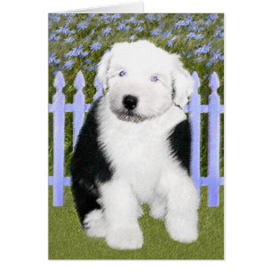 Vieux anglais Sheepdog Puppy Peinture - Chien Art
