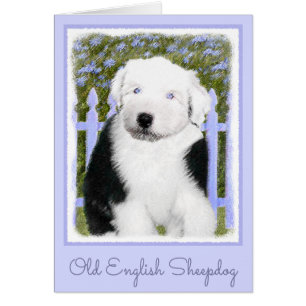 Vieux anglais Sheepdog Puppy Peinture - Chien Art