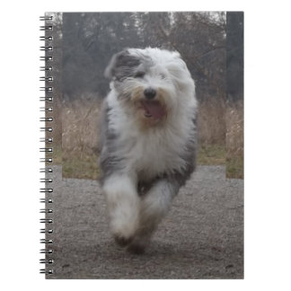 Vieux carnet anglais de chien de berger - courez