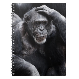 Vieux carnet de Chimpanzé