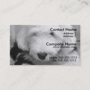Vieux carte de visite anglais de chien de moutons