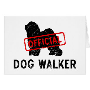 Vieux chien de berger anglais