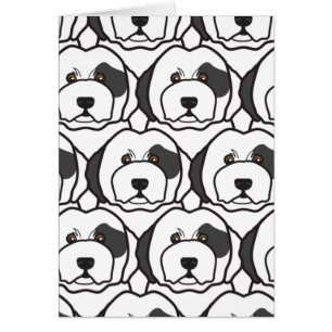 Vieux chiens de berger anglais