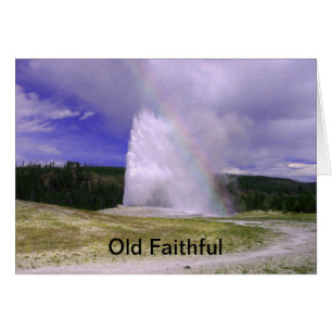 Vieux fidèles dans le parc national de Yellowstone