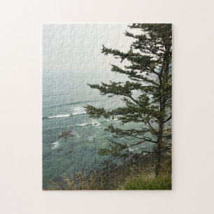 View at Simpson Reef Overlook Oregon Coast