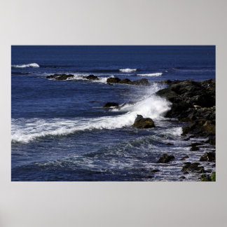 View from the Cliffwalk Poster