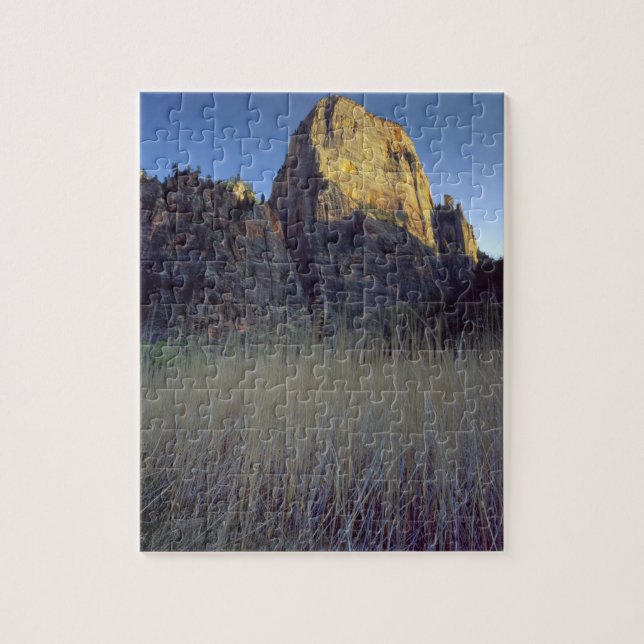 View from Virgin River flood plain, Zion Canyon (Vertikal)
