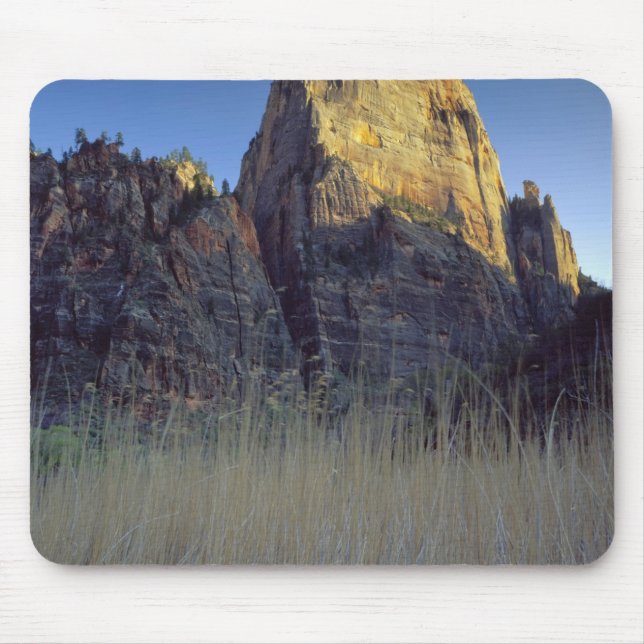 View from Virgin River flood plain, Zion Canyon Mousepad (Vorne)