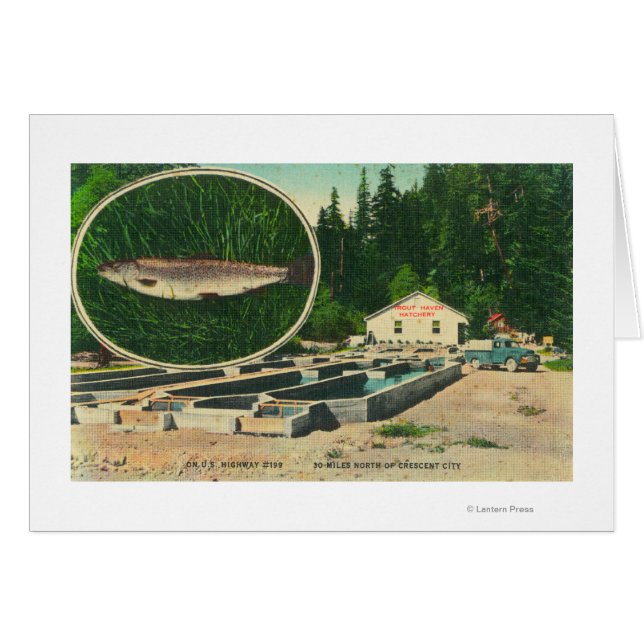 View of Foreut Haven HatcheryGasquet, CA (Vorderseite (Horizontal))