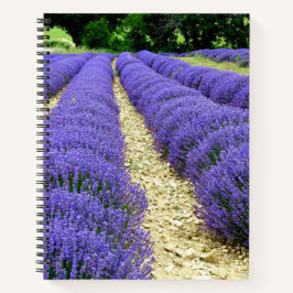 View of lavender fields in the Drôme provencale Notizbuch
