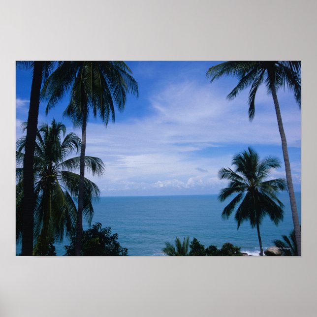 View of ocean horizon from land poster (Vorne)