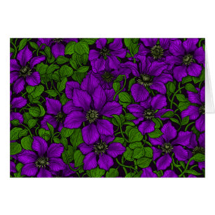 Vigne de Clematis pourpre