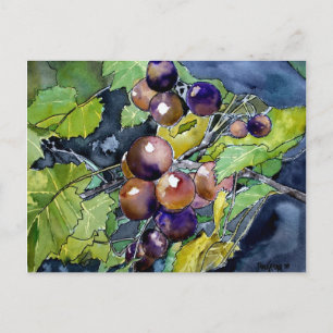 vigne de raisin fruits mort vie art carte postale 