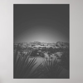 Vignette Black and White Joshua Tree Desert Scene Poster